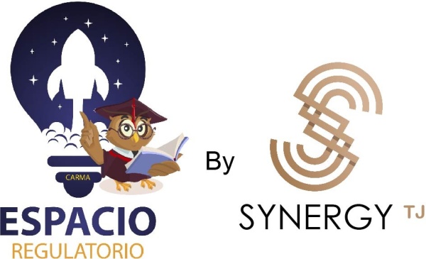 Logo de Synergy TJ